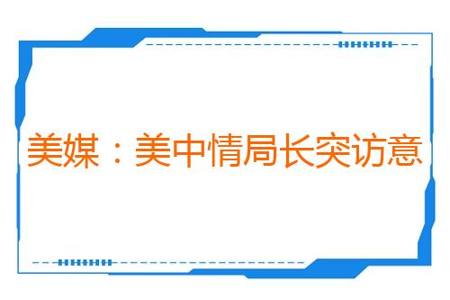 美媒:美中情局长突访意在警告俄勿攻击北约
