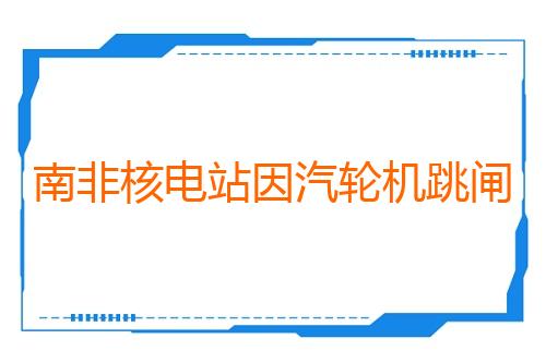 南非核电站因汽轮机跳闸停机
