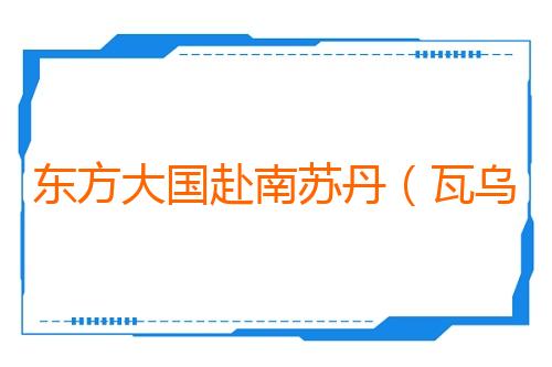 东方大国赴南苏丹（瓦乌）维和医疗分队开展系列活动庆祝“八一”建军节
